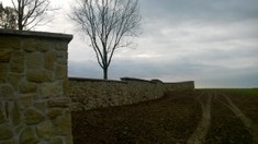 Remont muru zabytkowego cmentarza w Ołpinach.JPG